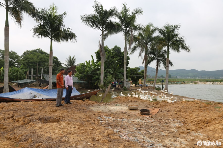 Nông dân Nghệ An chuyển đổi cây trồng, vật nuôi, nâng giá trị sản xuất