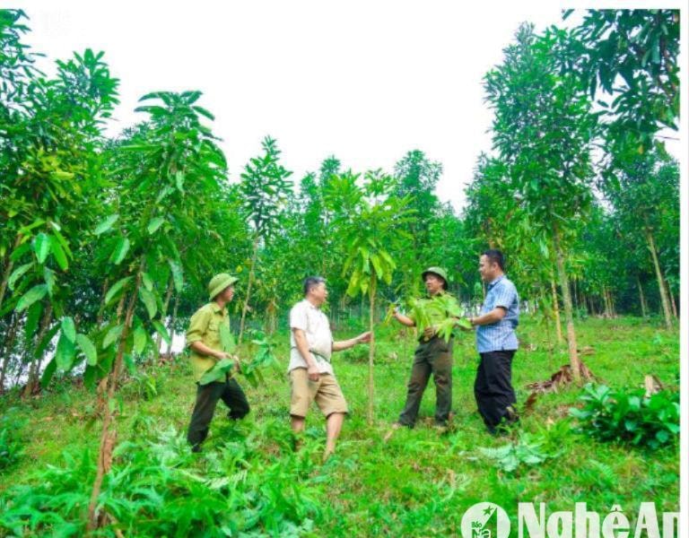 Đối tượng nào được Nhà nước giao đất rừng sản xuất không thu tiền sử dụng đất?