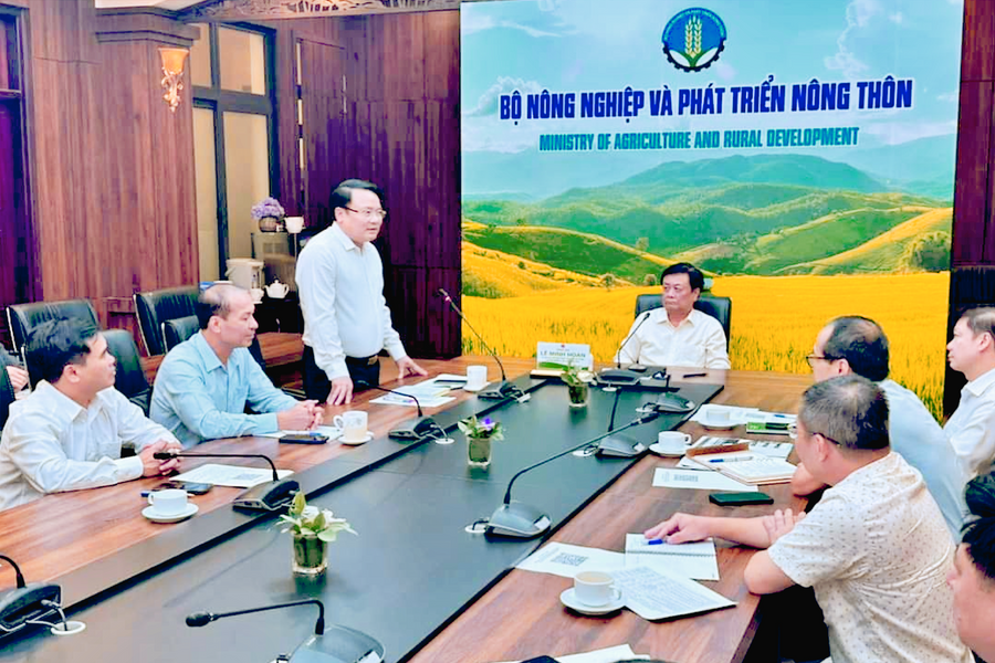 Bộ Nông nghiệp và Phát triển nông thôn phê duyệt kế hoạch hỗ trợ phát triển kinh tế huyện Kỳ Sơn