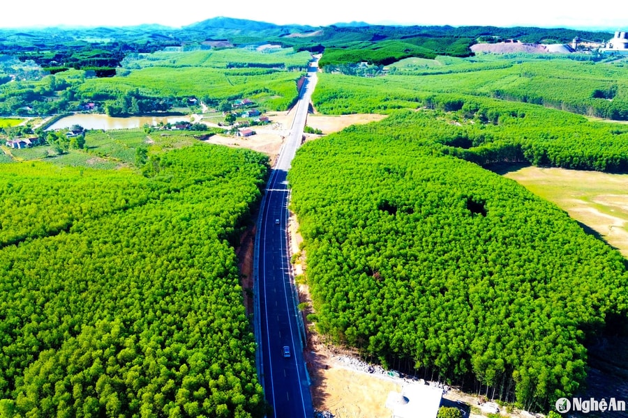 Thủ tướng Chính phủ giao Bộ Tài chính chủ trì soạn thảo Nghị định thực hiện hợp đồng BT nhằm thi hành Nghị quyết 137 của Quốc hội về Nghệ An