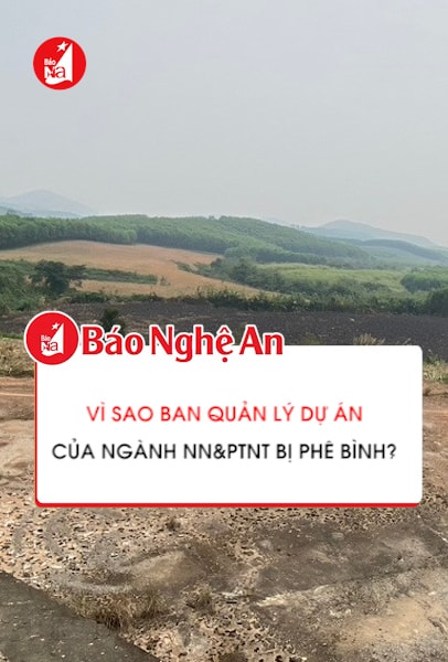 Vì sao Ban Quản lý dự án của ngành NN&PTNT bị phê bình?