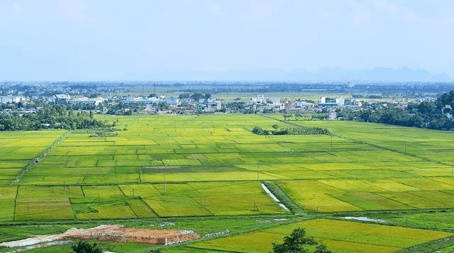 Luật Đất đai 2024 quy định về quyền tiếp cận thông tin đất đai như thế nào?