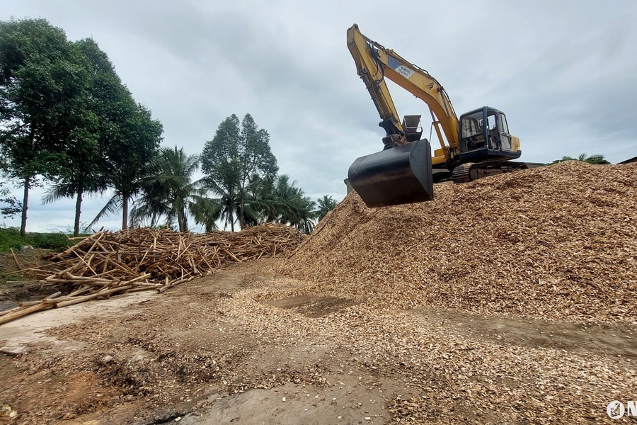 Vi phạm hoạt động chế biến, băm dăm gỗ ở xã Kỳ Sơn (Tân Kỳ): Đình chỉ doanh nghiệp, kiểm điểm xã