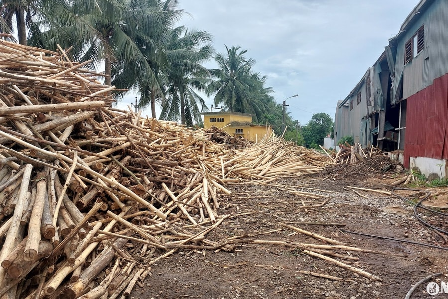 Huyện Tân Kỳ lập đoàn liên ngành kiểm tra hoạt động chế biến băm dăm gỗ ở xã 'phớt lờ' chỉ đạo của cấp trên