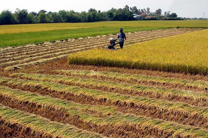 Luật Đất đai 2024 quy định về quyền chung của người sử dụng đất như thế nào?