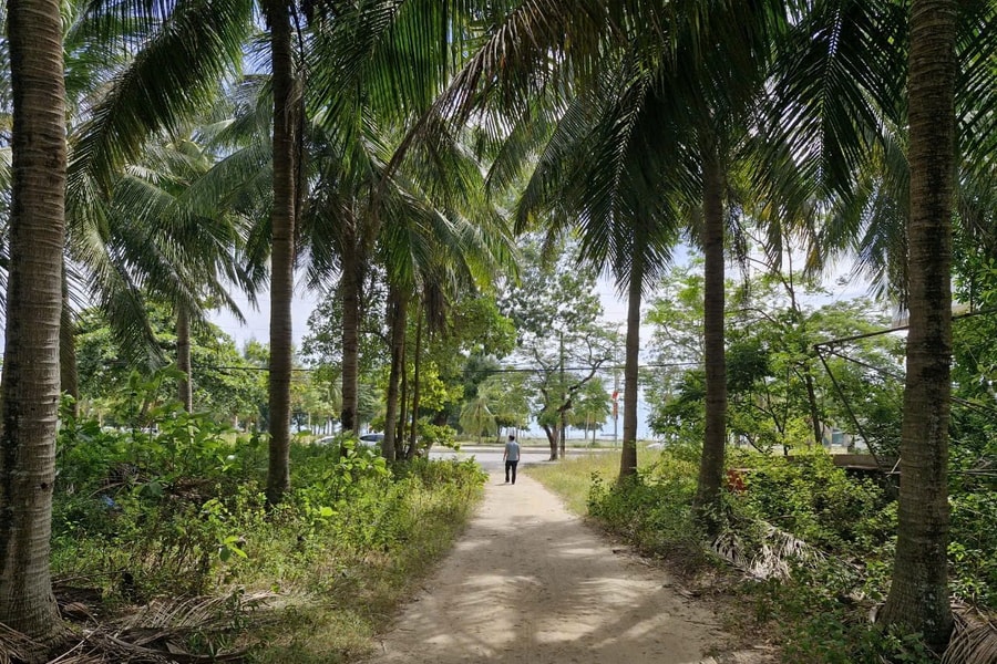 Đề nghị huyện Nghi Lộc xử lý tồn tại ở khu đất vàng bị 'bỏ quên' trên Đại lộ Bình Minh