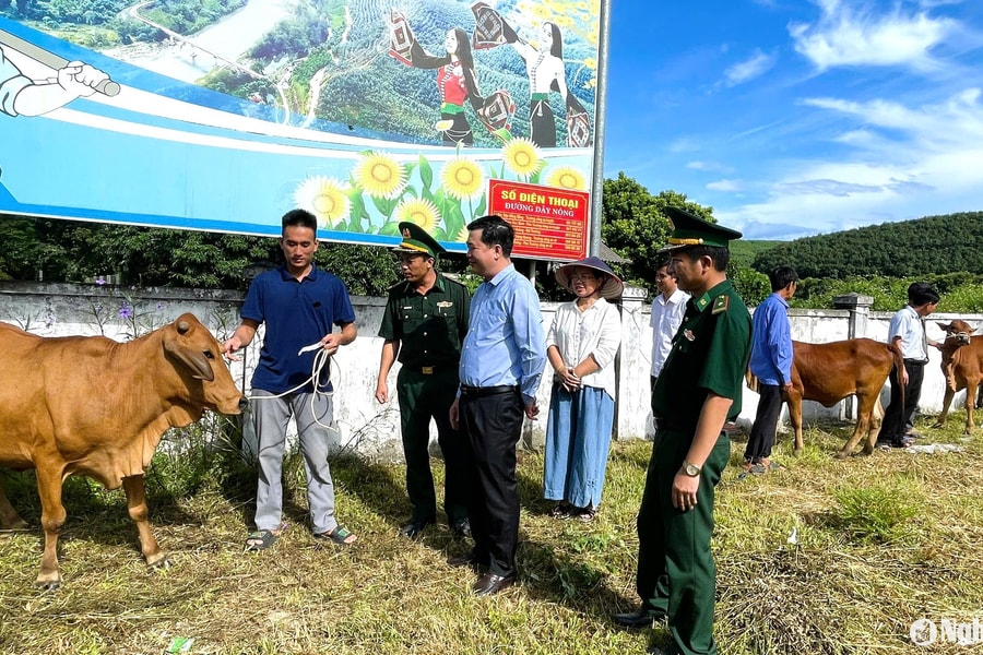 Trao 7 con bò giống cho các hộ nghèo ở khu vực biên giới Cao Vều