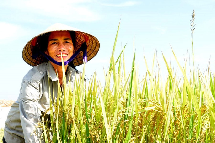 Điểm tin ngày 31/8