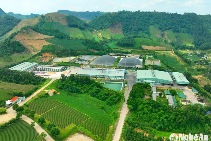 Định hướng phát triển bền vững nông nghiệp và nông thôn Nghệ An