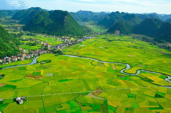 Quy định về giao đất, cho thuê đất thông qua đấu giá quyền sử dụng đất