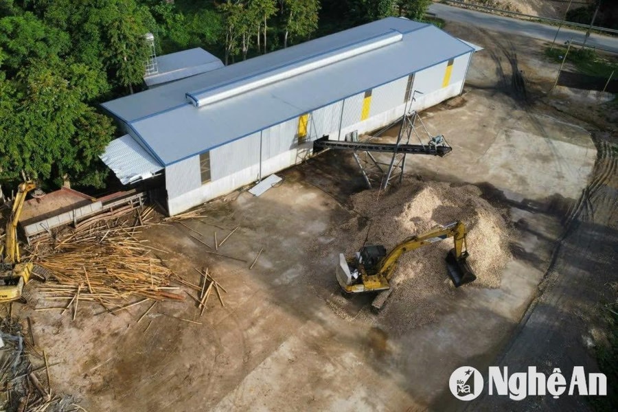 Phát hiện 6 xưởng băm dăm gỗ mới thành lập: Kiến nghị UBND tỉnh Nghệ An chỉ đạo kiểm tra