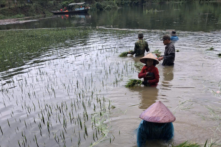 Miền núi Nghệ An chủ động ứng phó mưa lớn, sạt lở, lũ quét