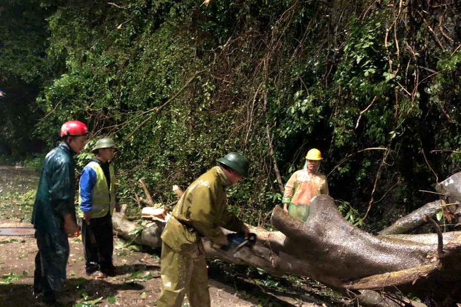 Cây gỗ bật gốc chắn ngang đường tại eo Vực Bồng (Con Cuông)