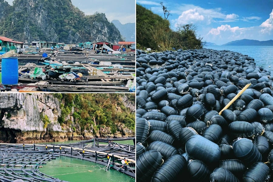 Công điện của Thủ tướng yêu cầu triển khai các biện pháp nhanh chóng phục hồi sản xuất nông nghiệp sau bão số 3 và mưa lũ