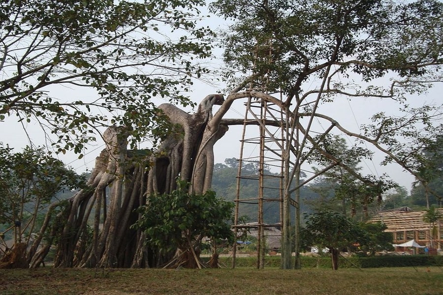 Quy định về cấp giấy chứng nhận quyền sử dụng đất đối với đất có di tích lịch sử - văn hóa, danh lam thắng cảnh