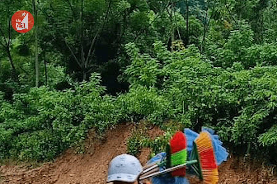 Giáo viên Kỳ Sơn băng rừng, lội suối đến trường sau lũ ống