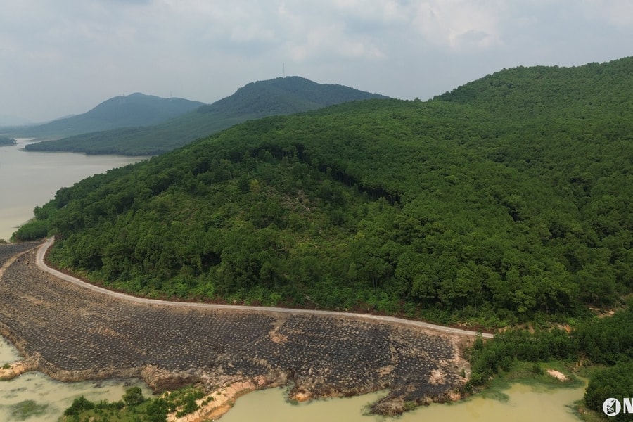 Người dân bức xúc quanh chuyện giao đất, giao rừng ở Diễn Phú (Diễn Châu)