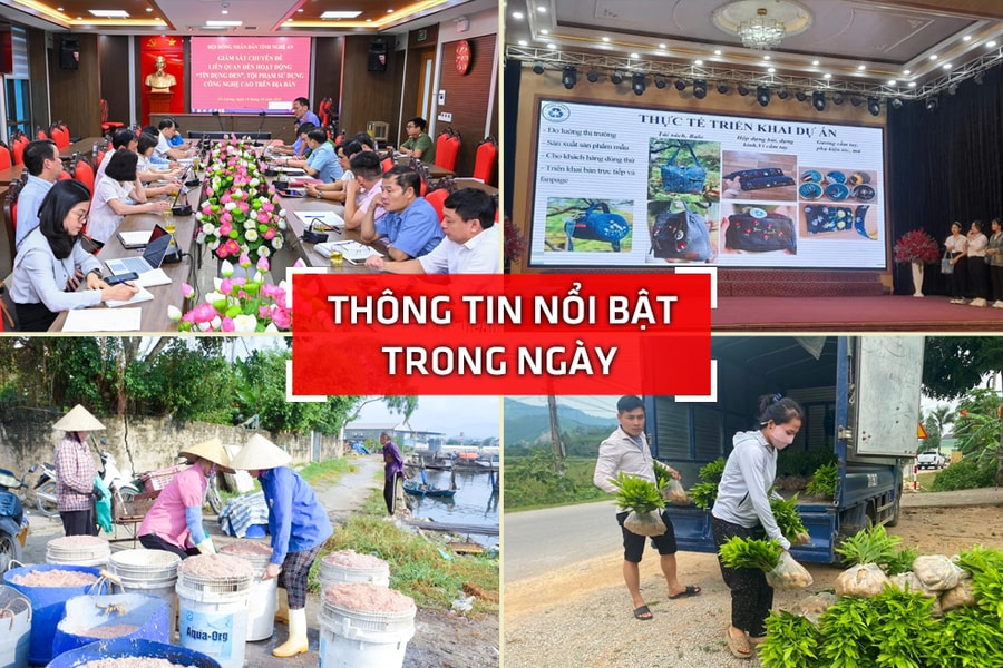Nghệ An: Thông tin nổi bật ngày 16/10