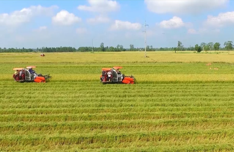 Chuyển đổi quyền sử dụng đất nông nghiệp có phải nộp thuế không ?