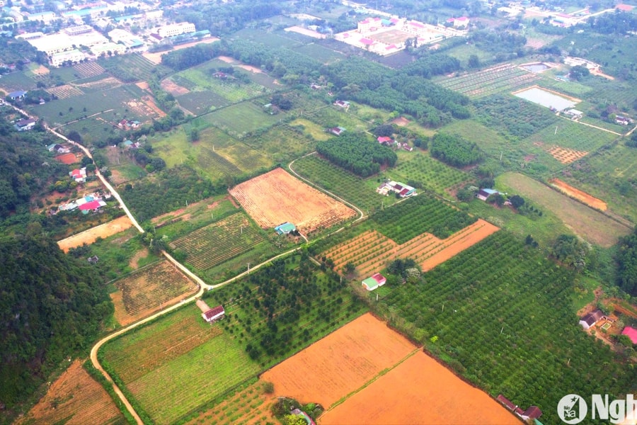 Trả lời kiến nghị cử tri Con Cuông về xử lý điểm tồn lưu hoá chất bảo vệ thực vật