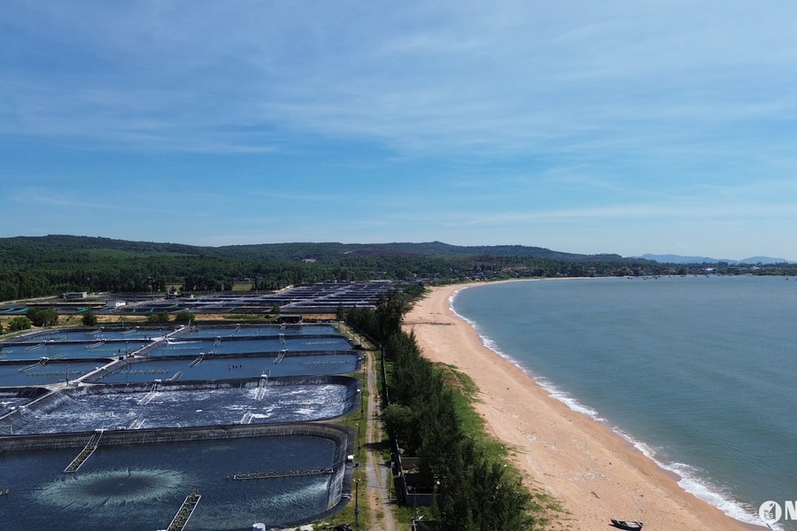 Đẩy nhanh tiến độ chấp thuận chủ trương đầu tư, lựa chọn nhà thầu Dự án Nhà máy nhiệt điện LNG Quỳnh Lập