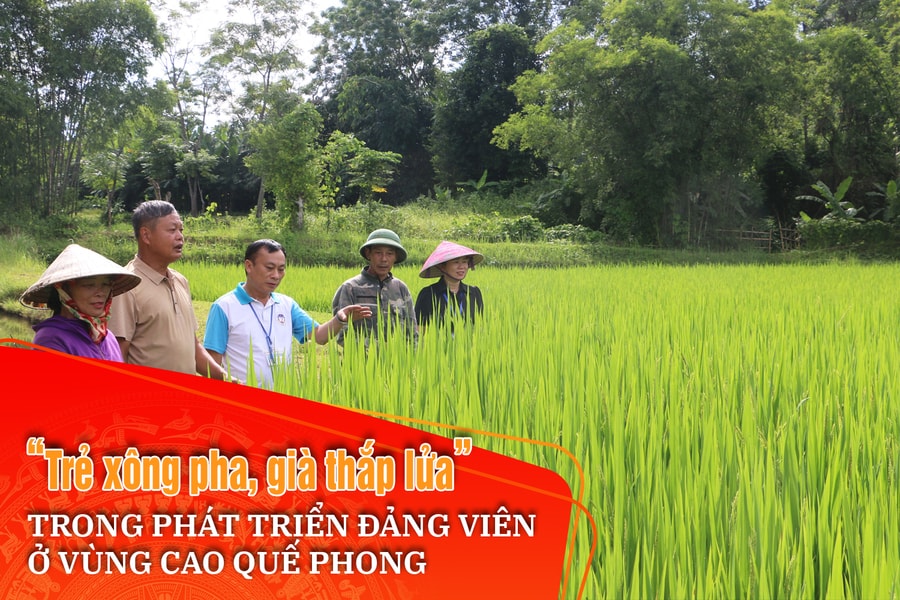 Bài cuối: Giải pháp để công tác phát triển Đảng được ‘sâu rễ, bền gốc’