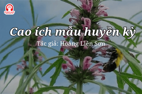 Đọc truyện đêm khuya: Cao ích mẫu huyền kỳ