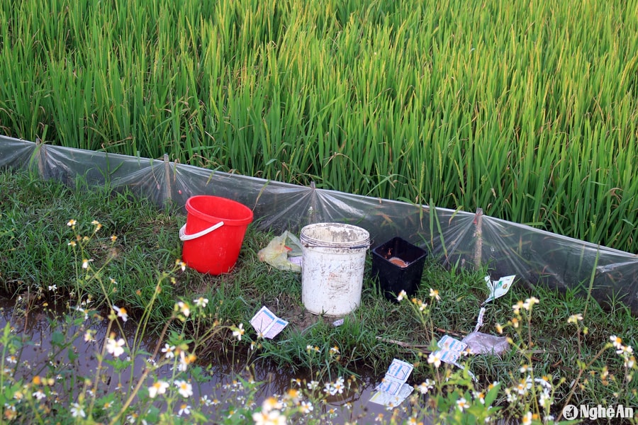 Cần sự vào cuộc đồng bộ trong thu gom, xử lý rác thải bảo vệ thực vật