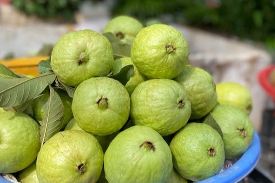 Ăn ổi có bị táo bón không?