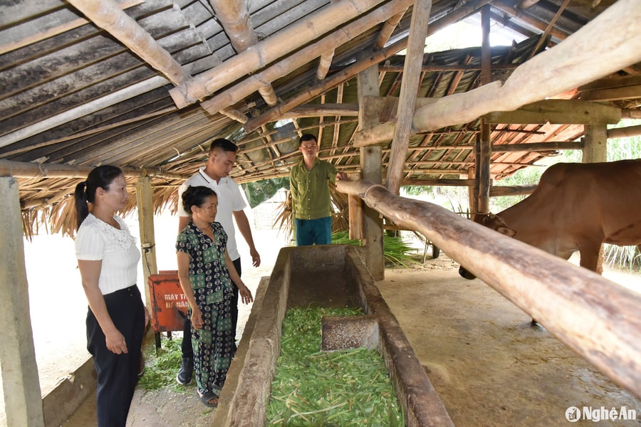 Lợi ích ‘kép’ từ chương trình hỗ trợ sinh kế