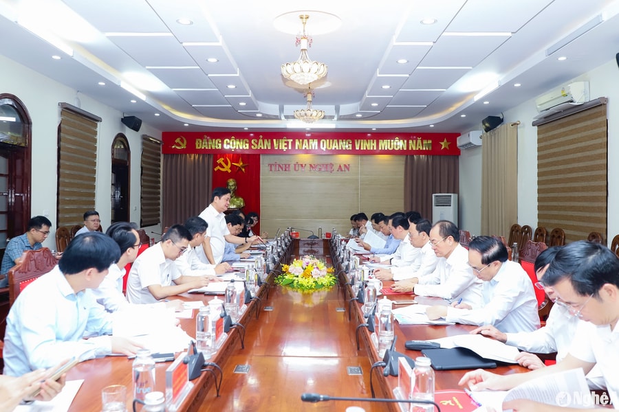 Ban Kinh tế Trung ương làm việc với Ban Thường vụ Tỉnh uỷ Nghệ An về hợp tác đầu tư nước ngoài