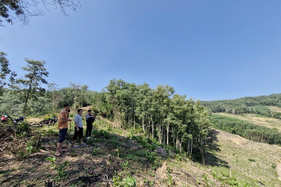 Âm ỉ việc tranh chấp đất rừng trên núi Cắm, xã Châu Hội (Quỳ Châu)