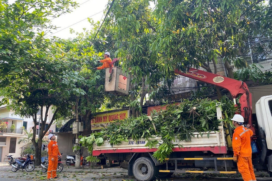 Nghệ An tăng cường xử lý vi phạm hành lang an toàn lưới điện