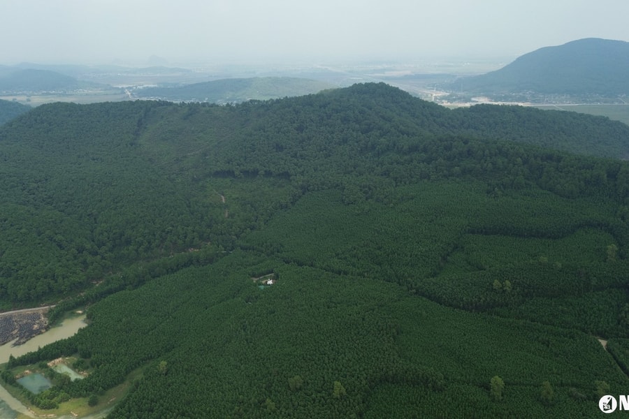 Quy định về giải quyết khiếu nại, tố cáo về sử dụng, quản lý đất đai