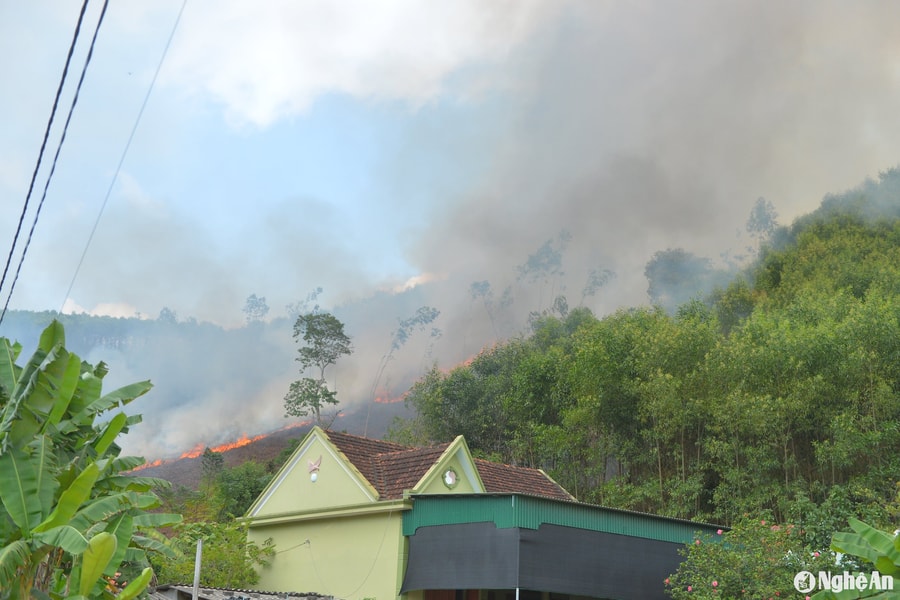 Nhức nhối vấn nạn đốt thực bì trồng keo ở Nghệ An