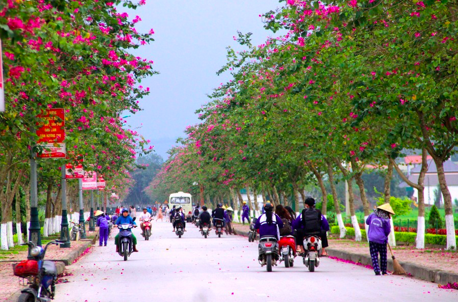 8 xã ở Nghệ An đăng ký về đích nông thôn mới kiểu mẫu năm 2025