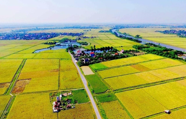Có được giao đất đang có người sử dụng cho người khác không?