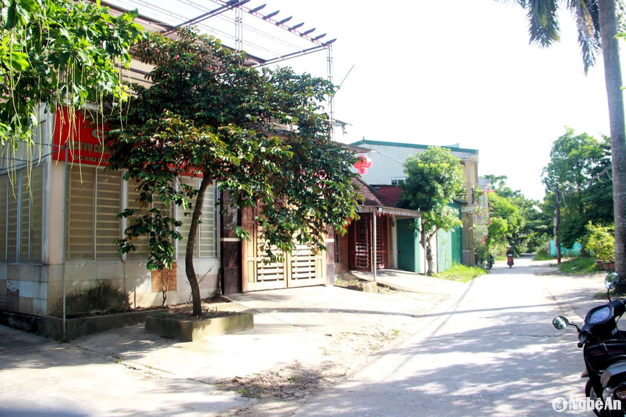 Hàng chục hộ dân ở TP. Vinh khổ sở vì 'nhà không số, phố không tên'