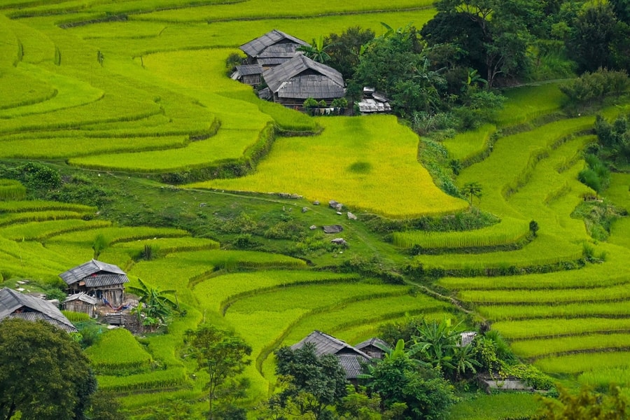 Đường đá cổ xuyên rừng kỳ vĩ lịch trình 3 ngày 2 đêm