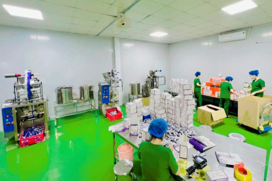 Những nữ giám đốc biến nông sản Nghệ An thành sản phẩm OCOP giá trị