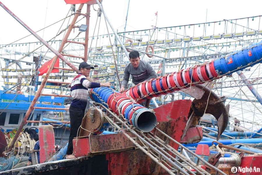 Ngư dân Nghệ An vượt rét, bám biển để đảm bảo nguồn cung hải sản cuối năm