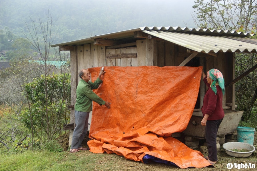 Nghệ An chủ động ứng phó với không khí lạnh tăng cường, rét và gió mạnh trên biển