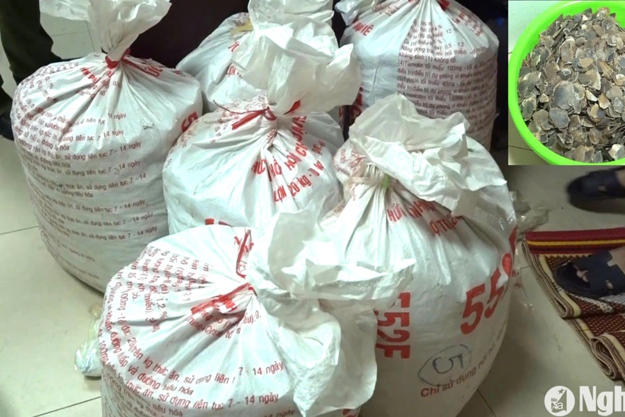 Triệt xóa nhóm đối tượng vận chuyển, tàng trữ, buôn bán cá thể, sản phẩm động vật quý hiếm