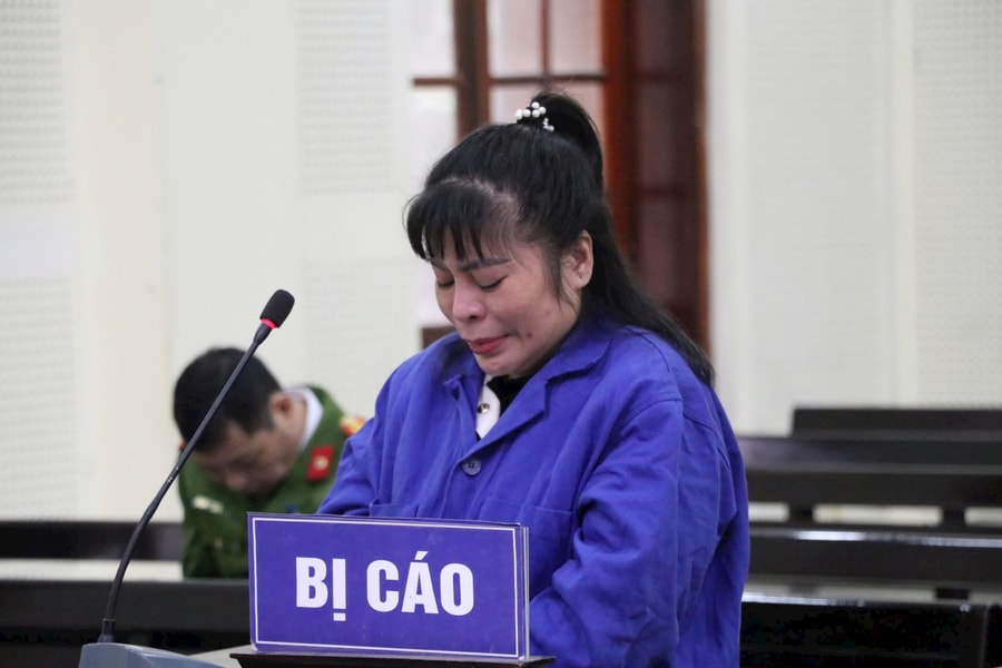 Nữ giám đốc 'nổ' có thể chạy được án treo,  chuyển đổi được mục đích sử dụng đất ở Nghệ An