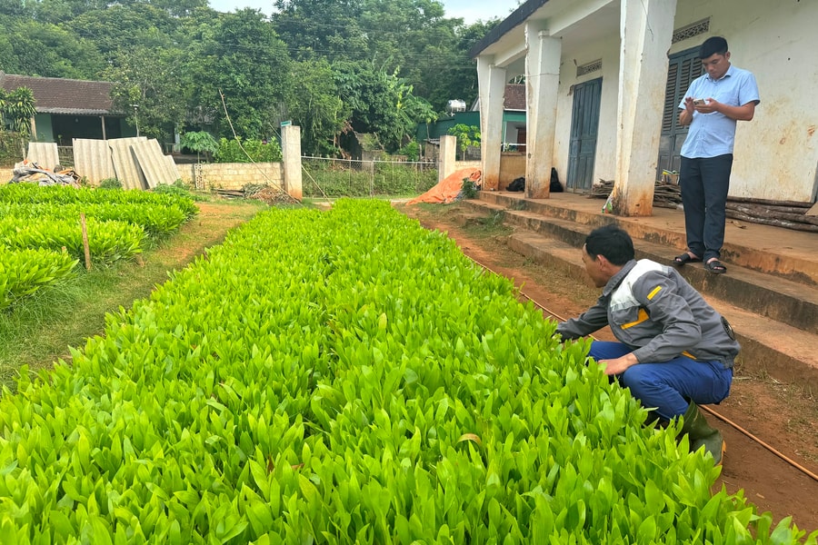 Doanh nghiệp, nông lâm trường Nghệ An cập nhật, đối thoại về Luật Đất đai 2024