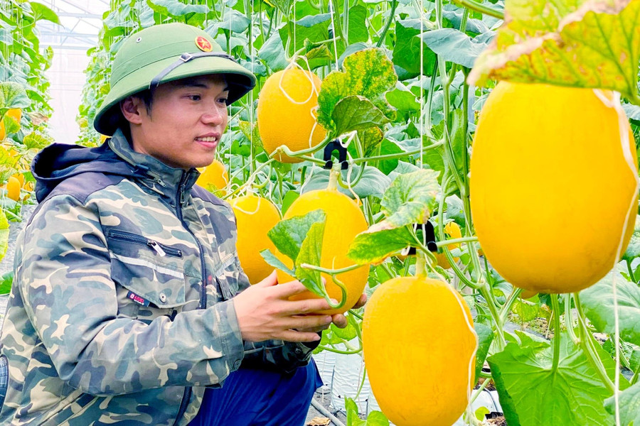 Phát triển mô hình kinh tế tuần hoàn trong xây dựng nông thôn mới ở Nghệ An