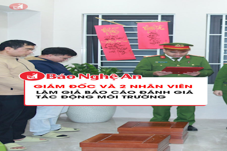 Giám đốc và 2 nhân viên làm giả báo cáo đánh giá tác động môi trường