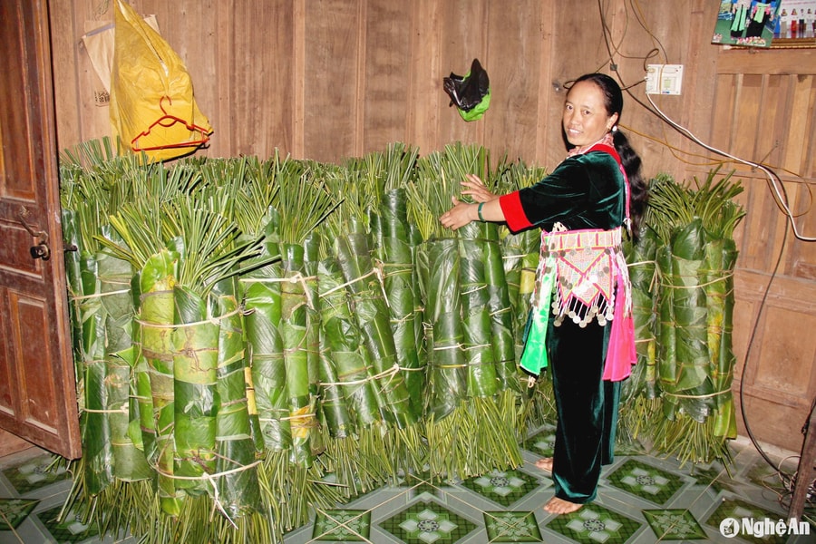 Người dân vùng cao Nghệ An vào rừng ‘hái lá đếm tiền’