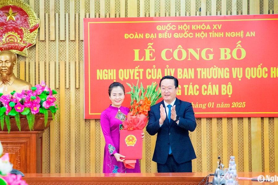 Đồng chí Võ Thị Minh Sinh làm Trưởng Đoàn đại biểu Quốc hội khóa XV tỉnh Nghệ An