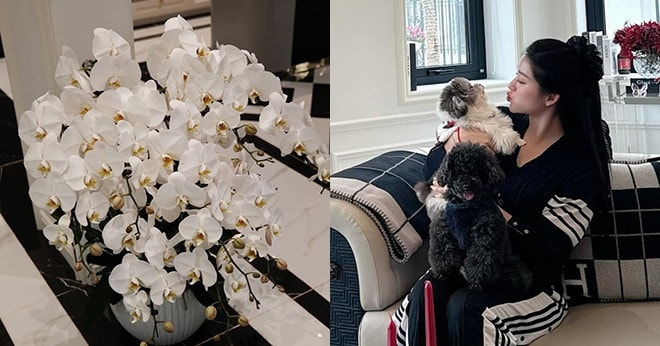 Biệt thự trắng 3 tầng 'đẹp như mơ' ngập hoa đón Tết của á hậu Huyền My